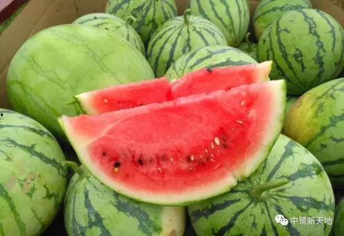 甜的娱乐吃瓜,揭秘娱乐圈甜蜜瓜皮背后的故事 第1张 甜的娱乐吃瓜,揭秘娱乐圈甜蜜瓜皮背后的故事 第1张